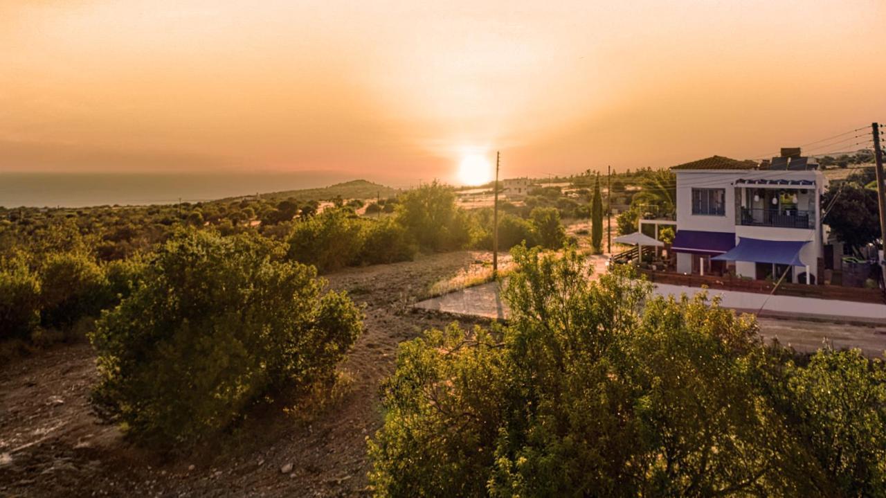 Villanelle Bed & Breakfast Welcomes Dog Lovers Only Tala Екстер'єр фото